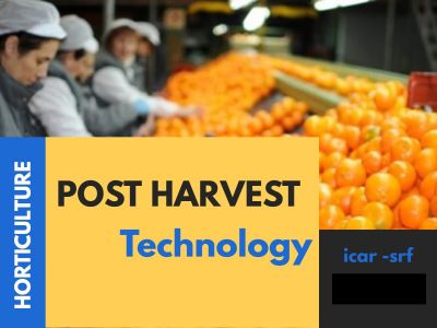 ICAR - SRF  2025 Horticulture >> Post Harvest Technology