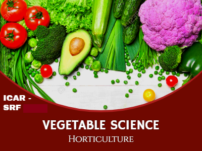 ICAR - SRF  2025 Horticulture >> Vegetable Science