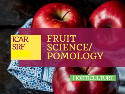 ICAR - SRF  2025 Horticulture >> Fruit Science/Pomology